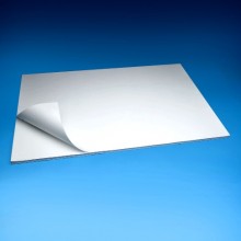 24" x 36" (200sht.)T-Bond